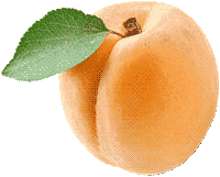 apricot