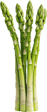 asparagus