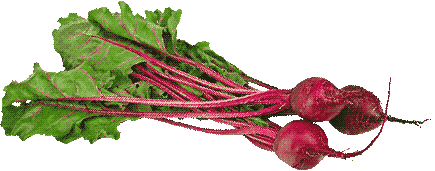beets