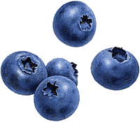 blueberries