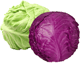 cabbage