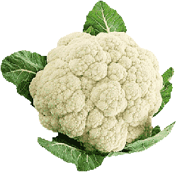 cauliflower