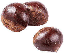 chestnuts