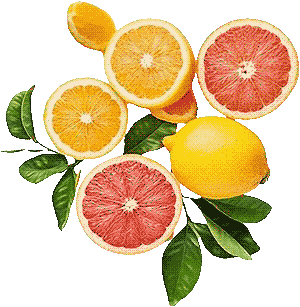 citrus