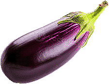 eggplant