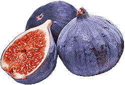 figs