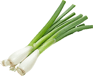 green onion