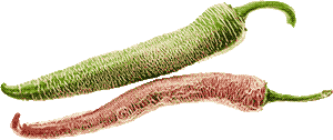 heirloom peppers