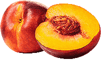 nectarines