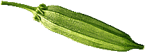 okra