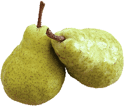 pears