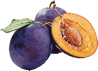 plums