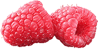 raspberries