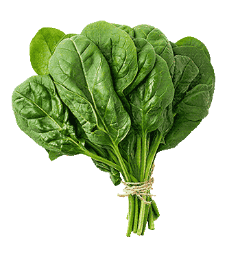 spinach
