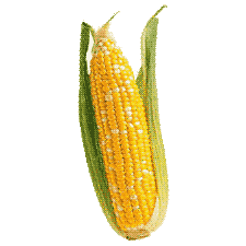 sweetcorn