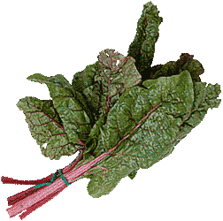 swisschard