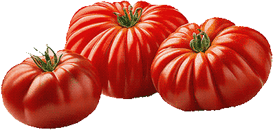 heirloom tomatoes