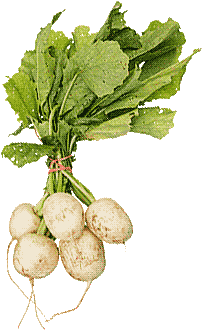 turnips